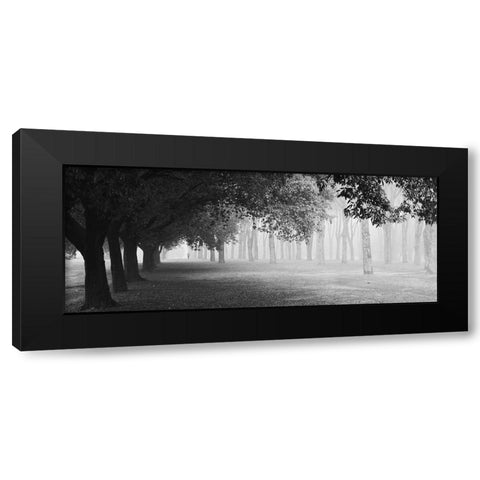 Morning Fog Black Modern Wood Framed Art Print with Double Matting by Chiarello, Matteo