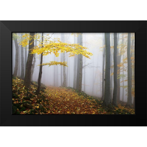 Untitled Black Modern Wood Framed Art Print by Rak, Martin