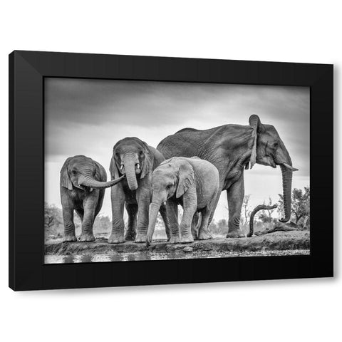 A Giant Unity Black Modern Wood Framed Art Print with Double Matting by Marx, Jaco