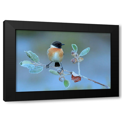 Hard Winter Black Modern Wood Framed Art Print by Miguel Dominguez, Andres