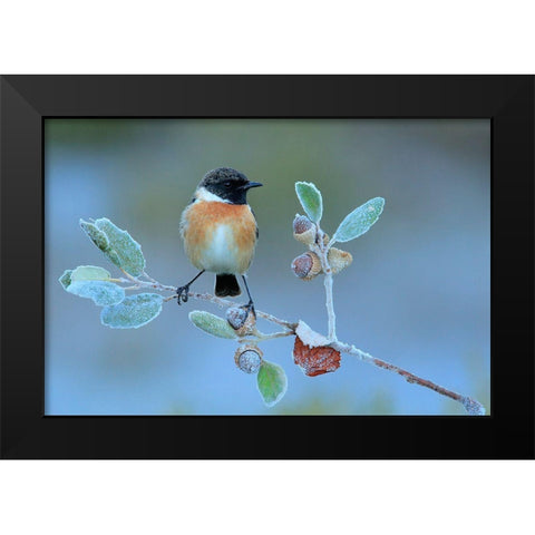 Hard Winter Black Modern Wood Framed Art Print by Miguel Dominguez, Andres