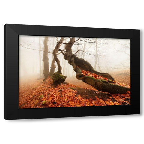 Age... Black Modern Wood Framed Art Print by Rericha, Daniel