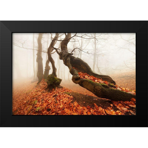 Age... Black Modern Wood Framed Art Print by Rericha, Daniel