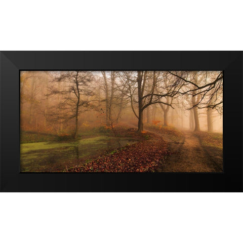 Which Path Ii Black Modern Wood Framed Art Print by Londal, Leif