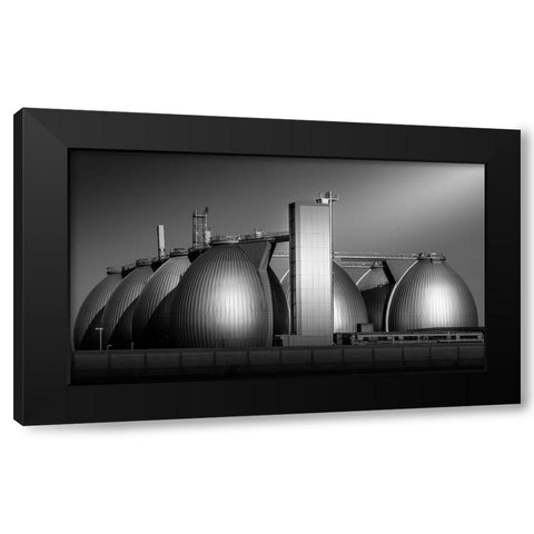 Eggs Black Modern Wood Framed Art Print with Double Matting by Rauwerdink, Jan
