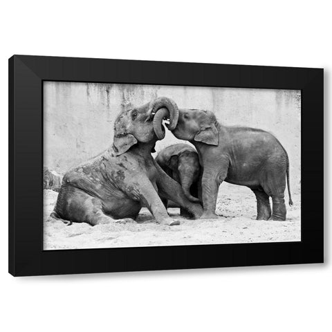 Ma?Nage A? Trois Black Modern Wood Framed Art Print by Wenner-Braun, Antje