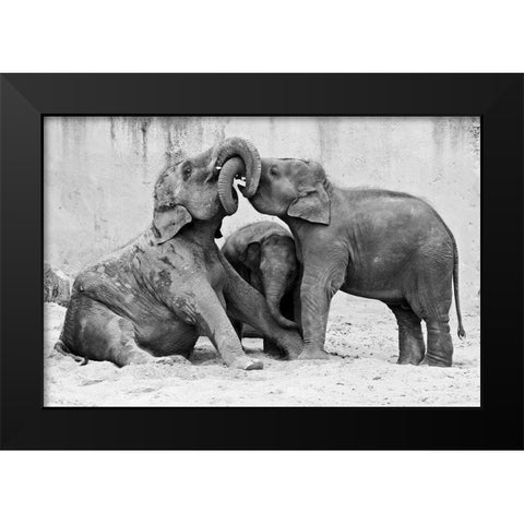 Ma?Nage A? Trois Black Modern Wood Framed Art Print by Wenner-Braun, Antje