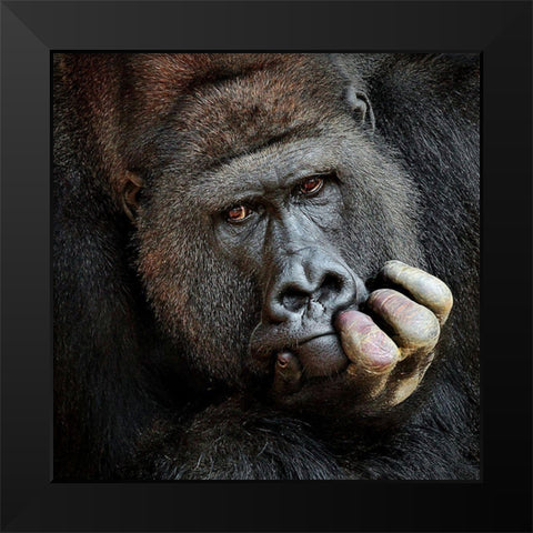 Dont Forget Me .... Black Modern Wood Framed Art Print by Wenner-Braun, Antje