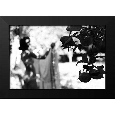 Apples Ii Black Modern Wood Framed Art Print by Kreigere, Inese