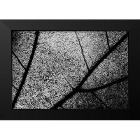 Streets Black Modern Wood Framed Art Print by Chiarello, Matteo