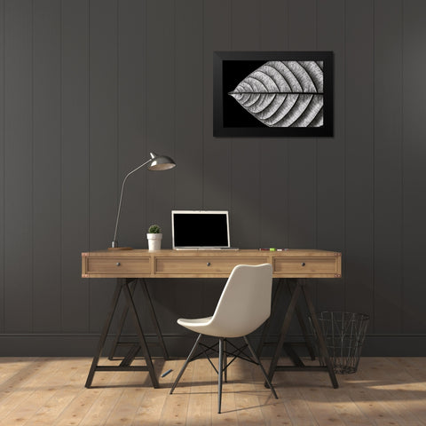 Dry Fish Black Modern Wood Framed Art Print by J. Bhange, Nilesh