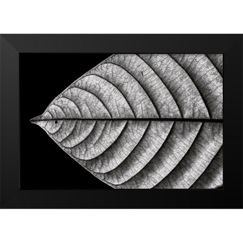 Dry Fish Black Modern Wood Framed Art Print by J. Bhange, Nilesh