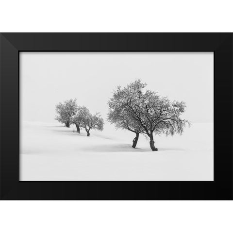 White Carpet Ii Black Modern Wood Framed Art Print by Carrillo Lopez, Antonio