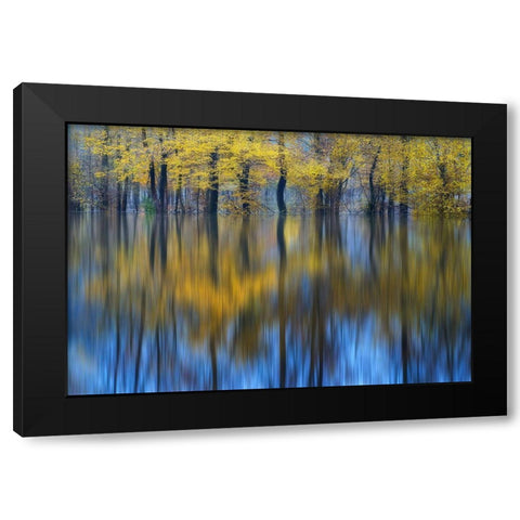 Yellow Reflection Black Modern Wood Framed Art Print with Double Matting by Komovec, Ales