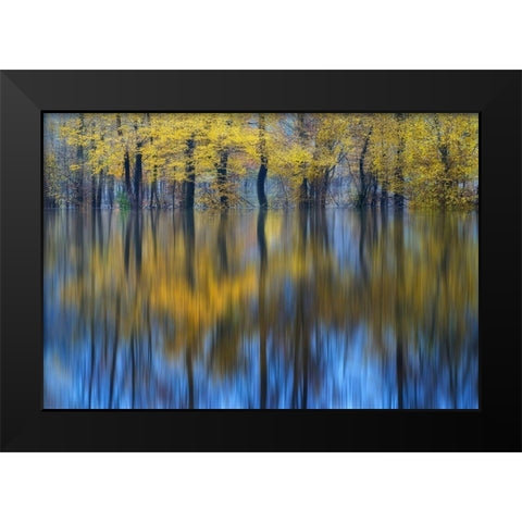 Yellow Reflection Black Modern Wood Framed Art Print by Komovec, Ales