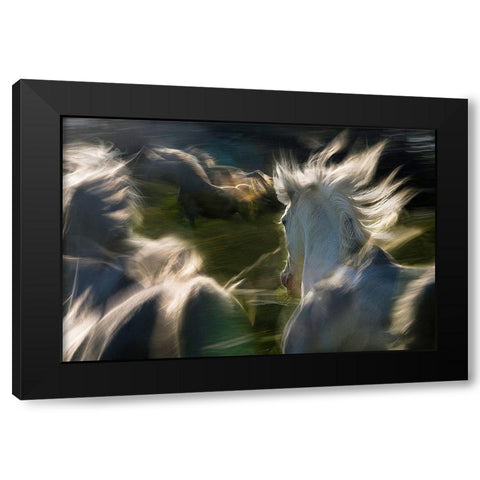 Saeta Equina Black Modern Wood Framed Art Print with Double Matting by Malovrh, Milan