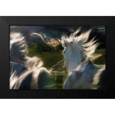 Saeta Equina Black Modern Wood Framed Art Print by Malovrh, Milan