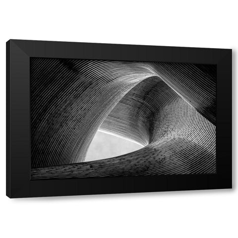 Entwined Black Modern Wood Framed Art Print with Double Matting by Pfeiffer, Peter
