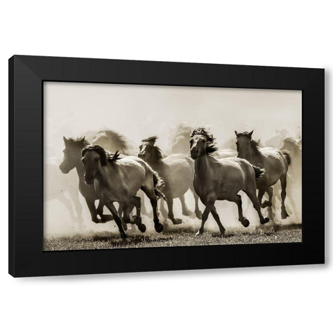 Horse Black Modern Wood Framed Art Print with Double Matting by Bartsch, Heidi