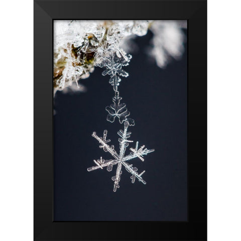 Pendant Black Modern Wood Framed Art Print by Ritoniemi, Sami