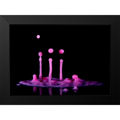 Albatroz Black Modern Wood Framed Art Print by De Kogel, Wieteke