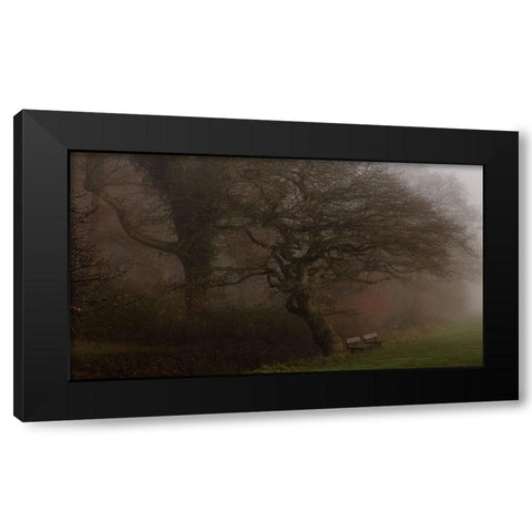 If The Tree Could Talk Black Modern Wood Framed Art Print by Londal, Leif