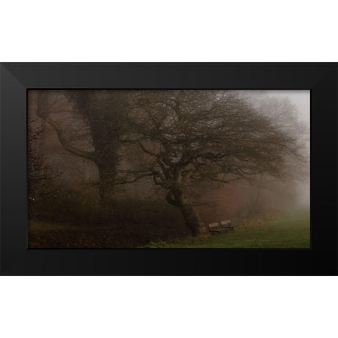 If The Tree Could Talk Black Modern Wood Framed Art Print by Londal, Leif