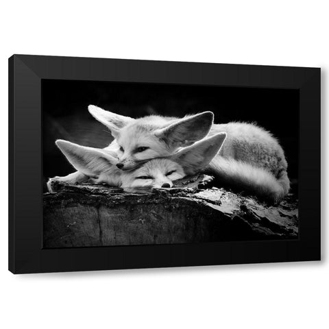 The Happy Couple Black Modern Wood Framed Art Print with Double Matting by Ross Rossi, Ib