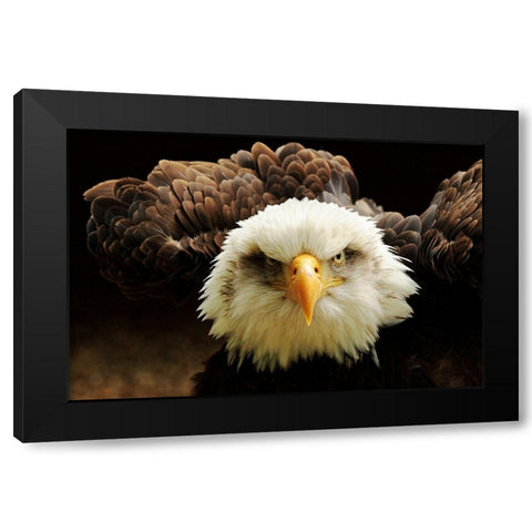 The Judge Black Modern Wood Framed Art Print by Kirwan, Tim