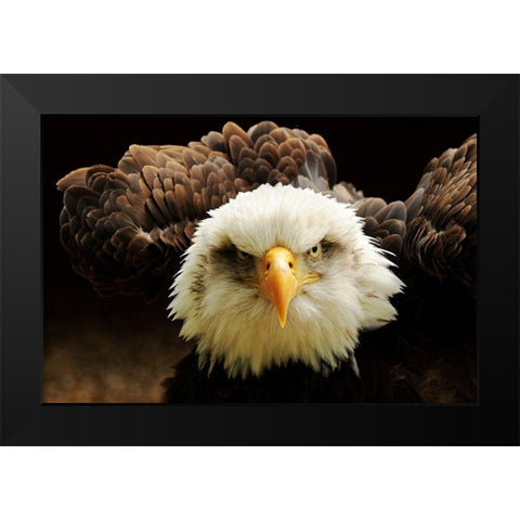 The Judge Black Modern Wood Framed Art Print by Kirwan, Tim