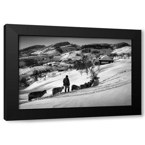Meandering Black Modern Wood Framed Art Print by Harag, Ionut