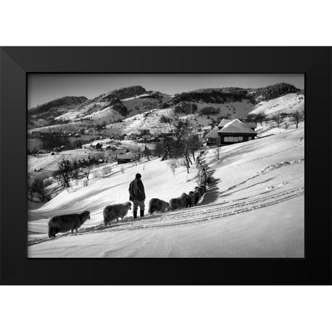 Meandering Black Modern Wood Framed Art Print by Harag, Ionut