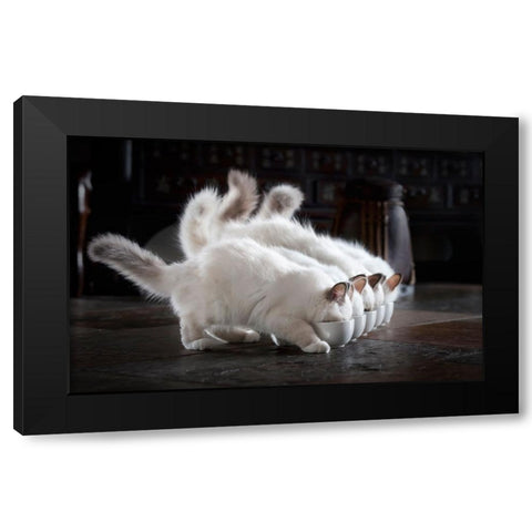 Let There Be Milk Black Modern Wood Framed Art Print by Lehto, Timo