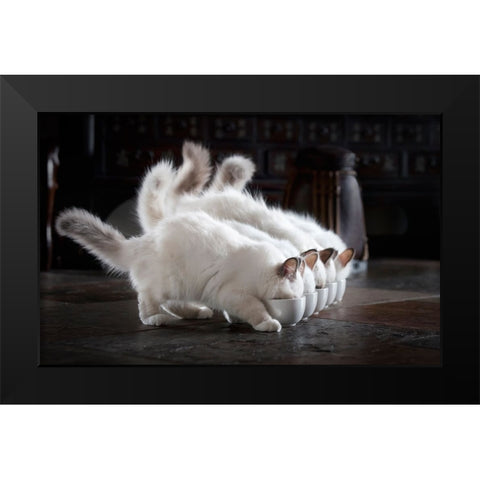 Let There Be Milk Black Modern Wood Framed Art Print by Lehto, Timo