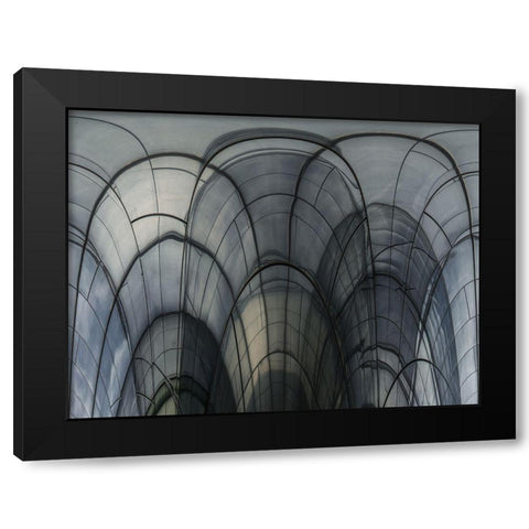 Cobweb Cathedral Black Modern Wood Framed Art Print by Vangindertael, Luc