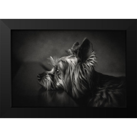 I Have Been Waiting For You ... Black Modern Wood Framed Art Print by Lacz, Krisztina
