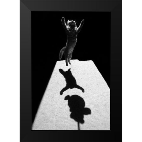 Edgar The Great Black Modern Wood Framed Art Print by Kravanja, Jure