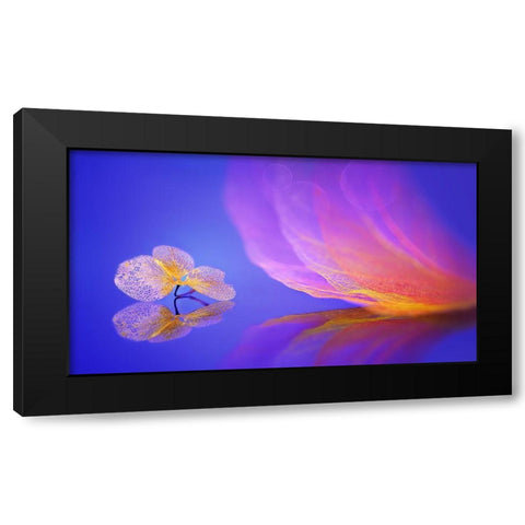 Dream Black Modern Wood Framed Art Print by Pan, Sophie