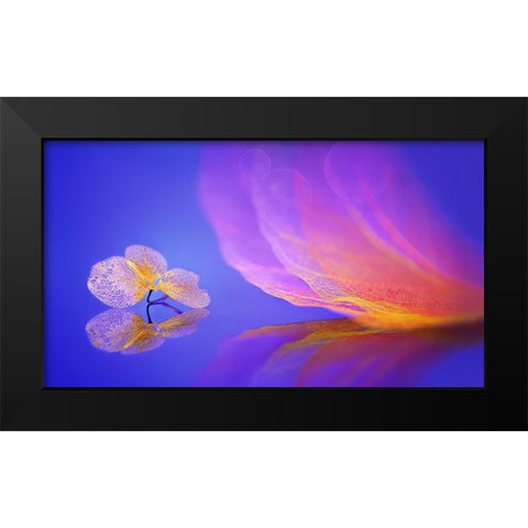 Dream Black Modern Wood Framed Art Print by Pan, Sophie