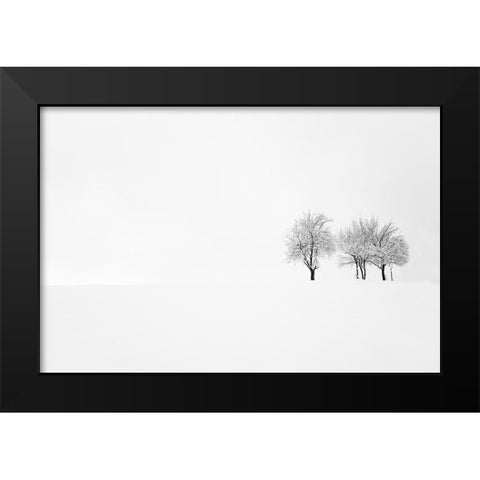 Tree And Silence Black Modern Wood Framed Art Print by Bajrich, Amir