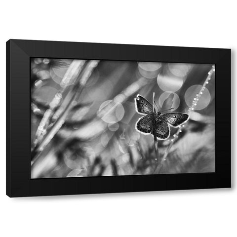 ...After The Rain... Black Modern Wood Framed Art Print with Double Matting by Gerec, Pali