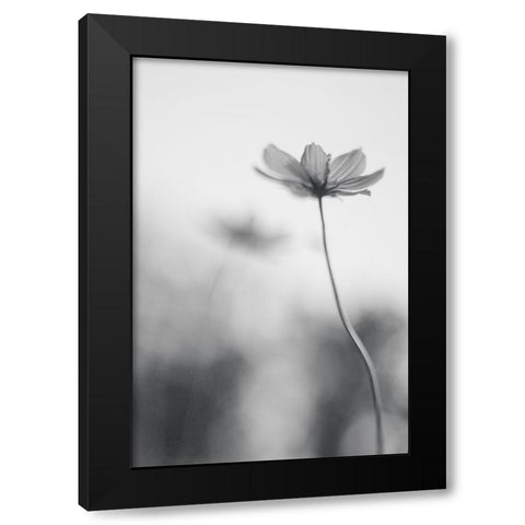 An Ordinary Dream Black Modern Wood Framed Art Print with Double Matting by Ghosh, Udayan