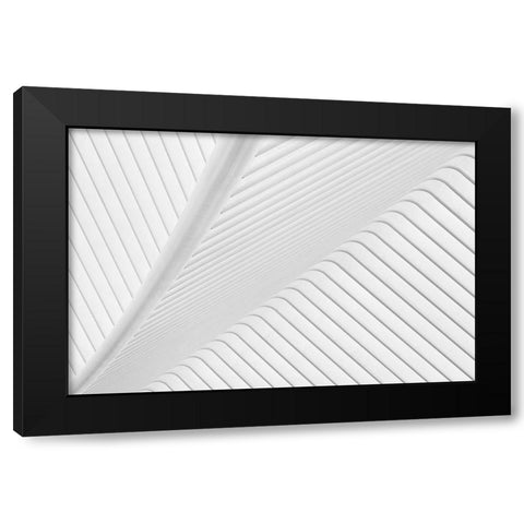 Canopy. Black Modern Wood Framed Art Print with Double Matting by Van Son, Greetje
