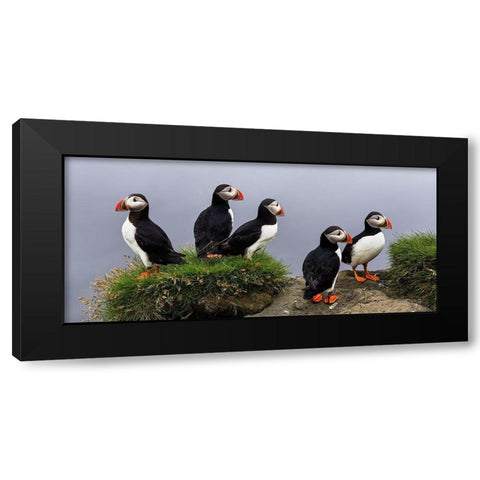 I Dont Care Black Modern Wood Framed Art Print with Double Matting by Mattheyses, Eric