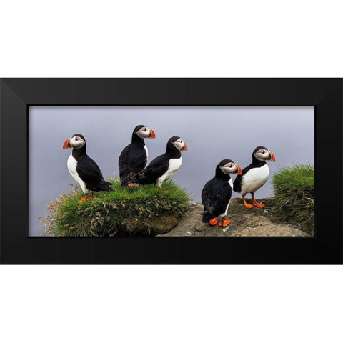 I Dont Care Black Modern Wood Framed Art Print by Mattheyses, Eric