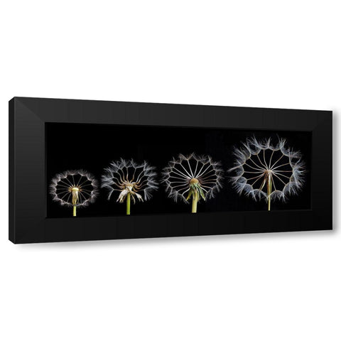 Family Portrait Black Modern Wood Framed Art Print by Lionse, Art
