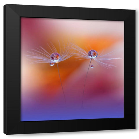 Two Worlds Black Modern Wood Framed Art Print with Double Matting by Nan, Juliana