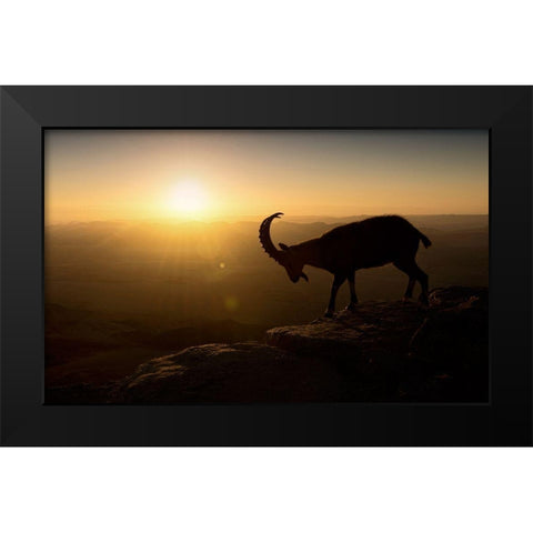Desert Wanderer Black Modern Wood Framed Art Print by Jonas, Nadav