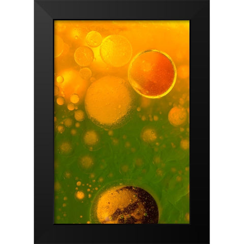 Spring Fantasy Black Modern Wood Framed Art Print by Bosogea-Tudor, Ileana