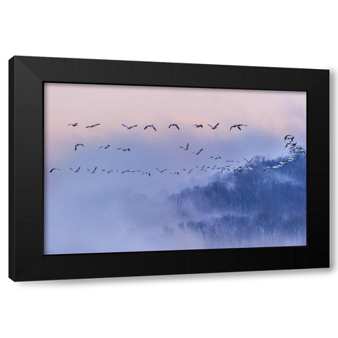 Poems And Dreams (Em?A??Ei?Ae?Andsup1;) Black Modern Wood Framed Art Print with Double Matting by Li, Austin